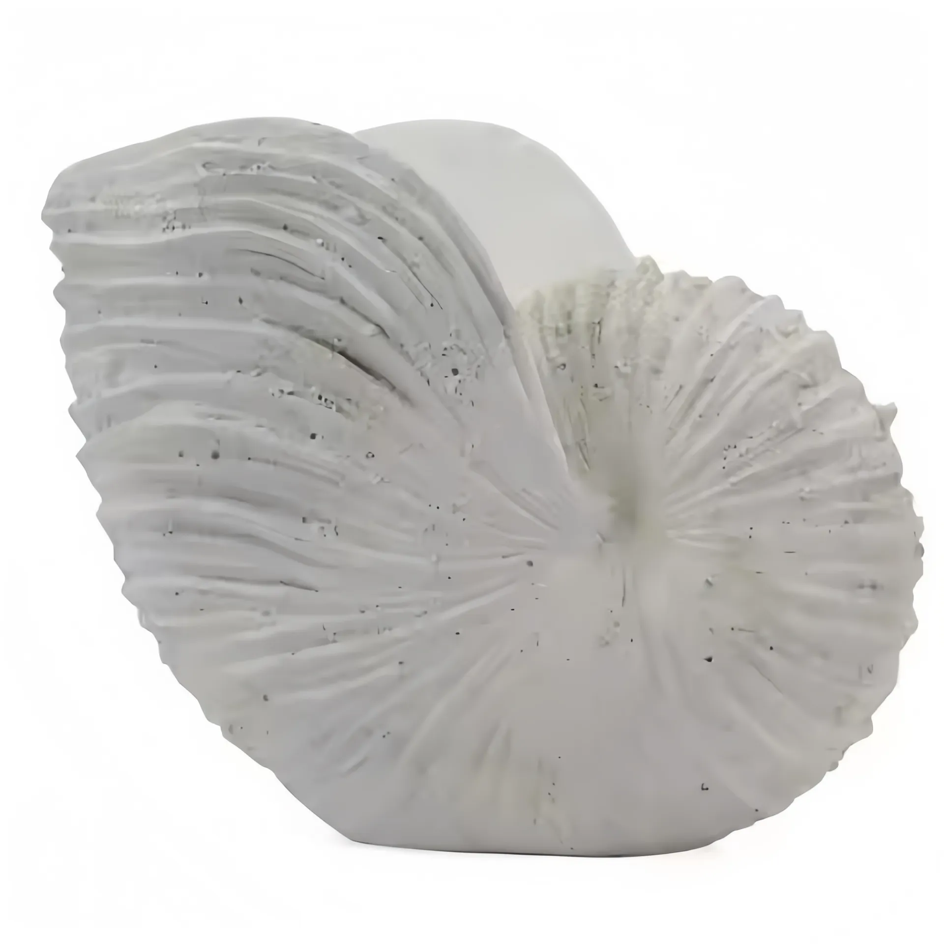 Eine weiße Keramikskulptur, die einer Nautilusschale mit detaillierten Rillen und Texturen ähnelt.